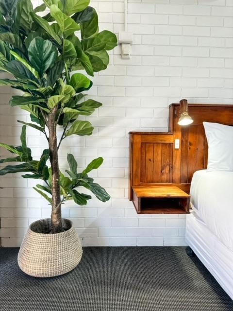 Motel Pacific Sun 3*